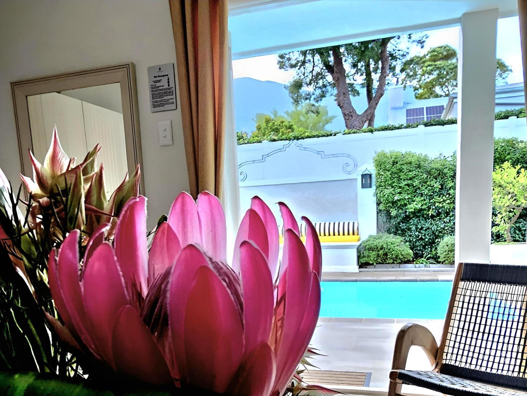 Fleur Du Soleil Luxury Guesthouse Franschhoek Bagian luar foto
