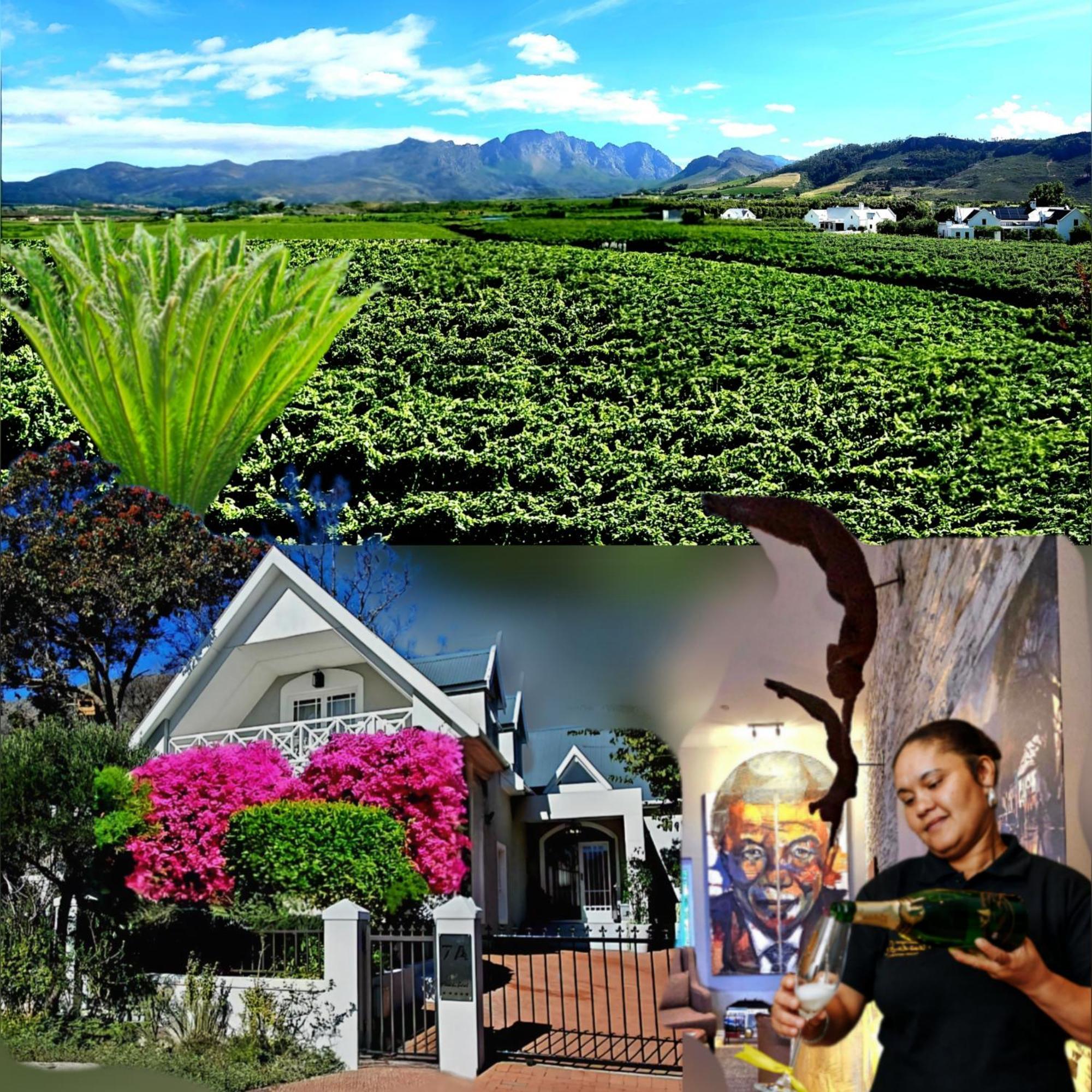 Fleur Du Soleil Luxury Guesthouse Franschhoek Bagian luar foto